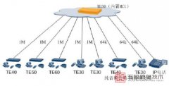 华为TE50如何通过内置MCU组网？