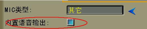 内置语音输出.jpg